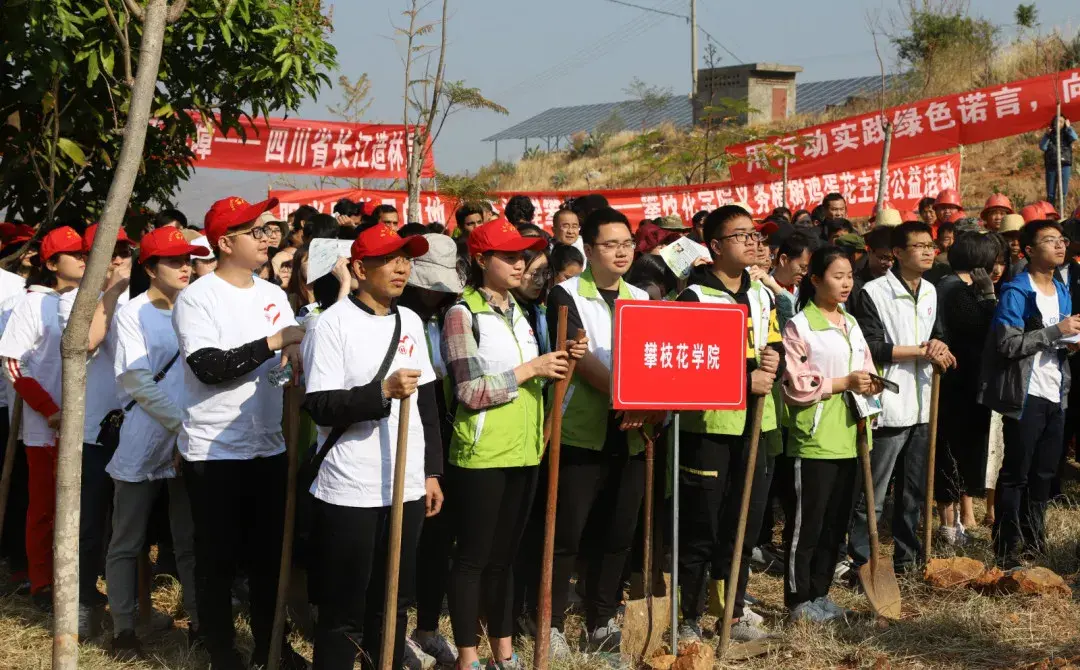 地涌金莲怎么分株，怎么移栽，栀子花几月份移栽?